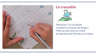 Le crocodile