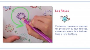 Les fleurs